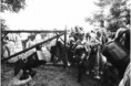 /album/fenykepgaleria/tortenelmi3-jpg/